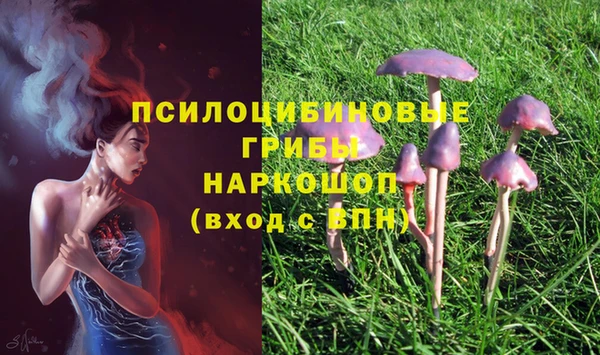винт Балахна