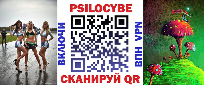 магазин продажи наркотиков  Ершов  Псилоцибиновые грибы Psilocybine cubensis 